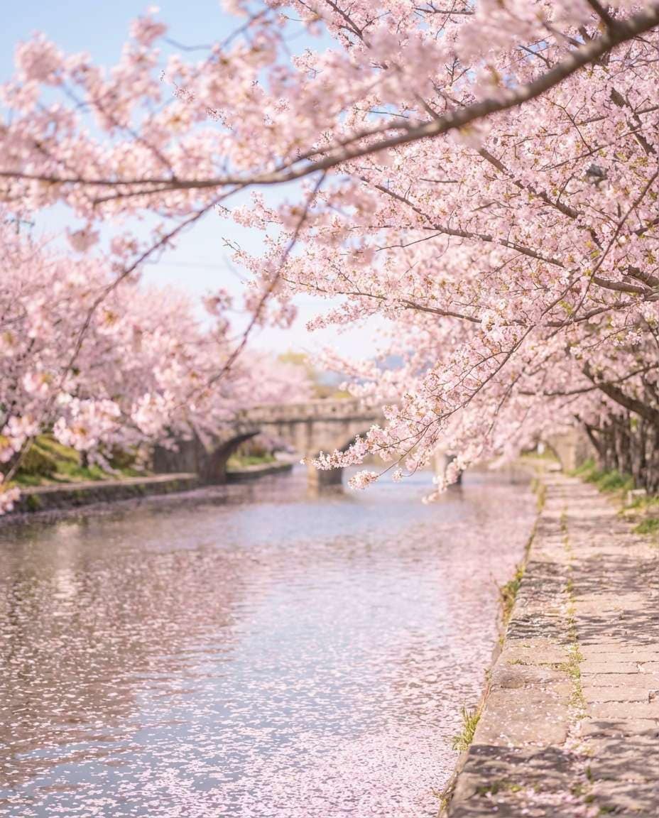 Blossom Riverside Path AI portrait example — Gemini AI Landscape Photo Prompt